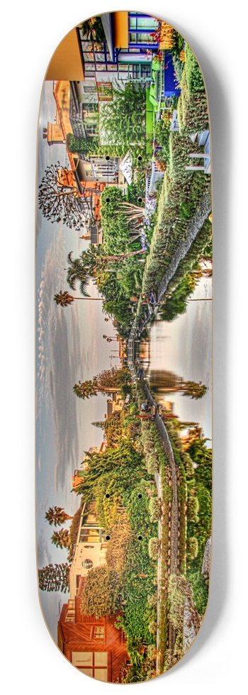 Venice Canals 9 Inch Skateboard