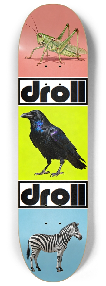 grasshopper, raven, zebra