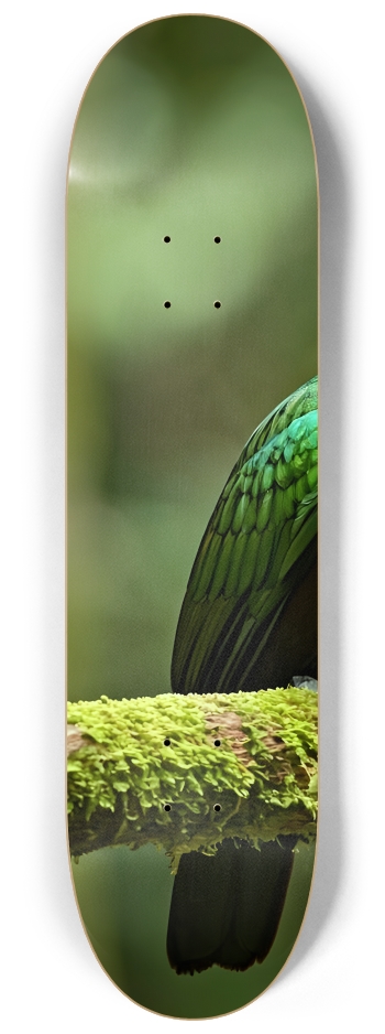 Emerald Green Bird 0002 8K #1