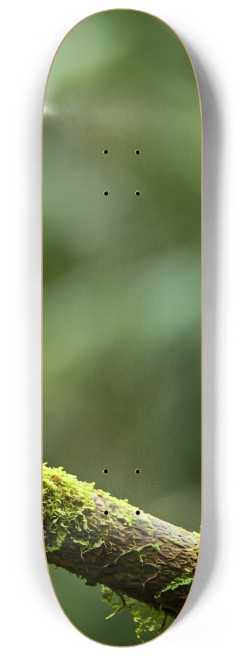 Emerald Green Bird 0002 8K #3 8-1/4 Skateboard Deck