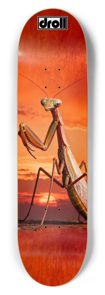 praying mantis sunset 8-1/2 Skateboard Deck