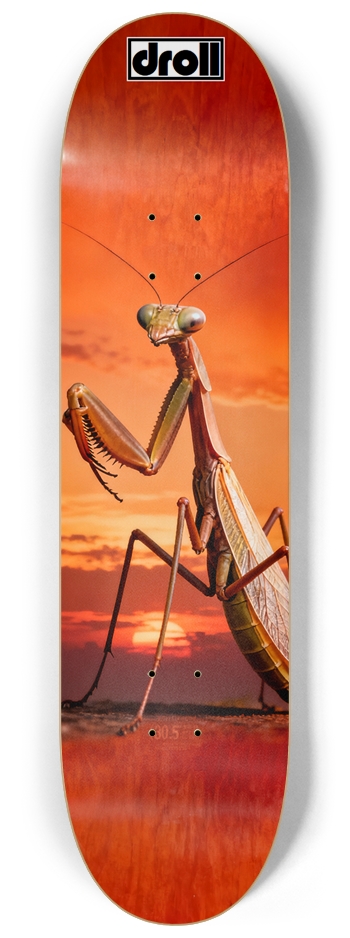 praying mantis sunset 8-1/4 Skateboard Deck