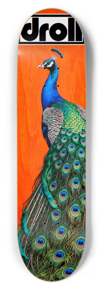peacock on orange woodgrain 8-1/2 Skateboard Deck