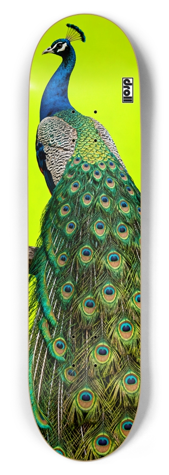 peacock on neon yellow 8-1/2 Skateboard Deck