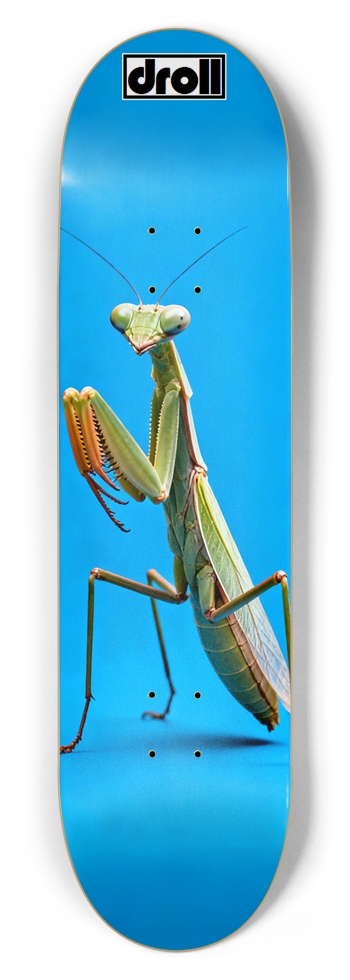 praying mantis on sky blue 8-1/2 Skateboard Deck