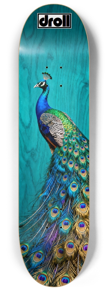 peacock on teal woodgrain 8-1/4 Skateboard Deck