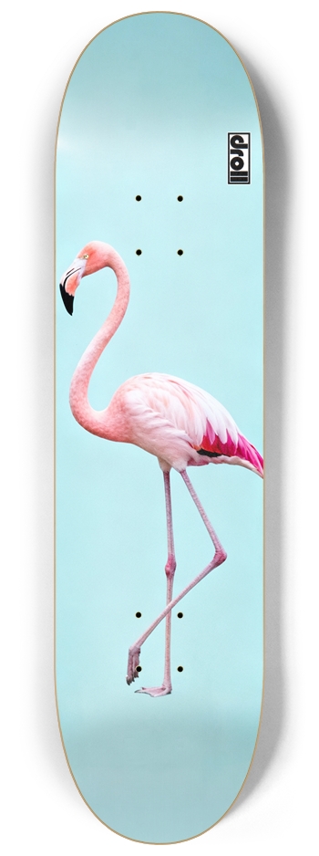 flamingo on powder blue