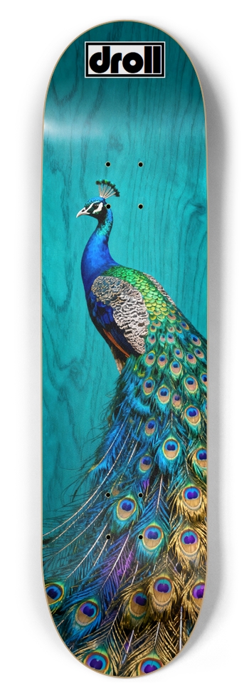 peacock on teal woodgrain