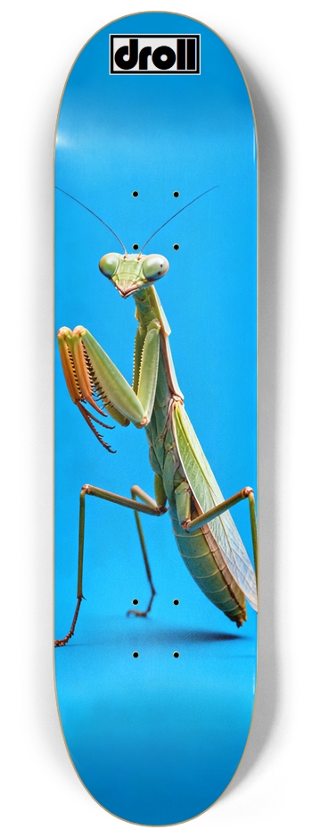praying mantis on sky blue 8-1/4 Skateboard Deck