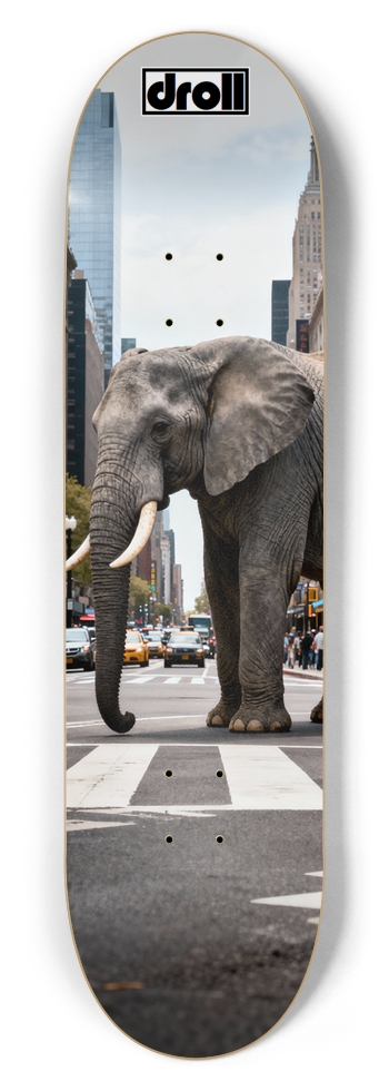 elephant intersection 8-1/2 Skateboard Deck