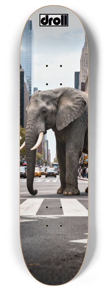 elephant intersection