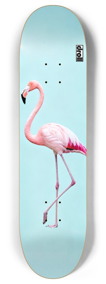 flamingo on powder blue