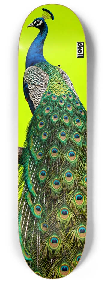 peacock on neon yellow 8-1/4 Skateboard Deck
