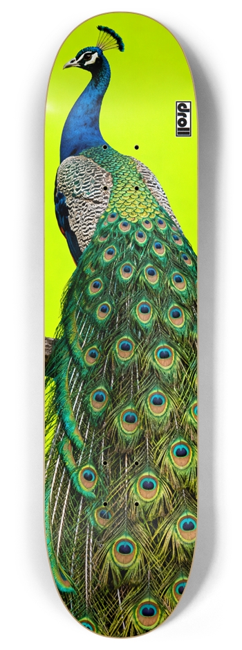 peacock on neon yellow