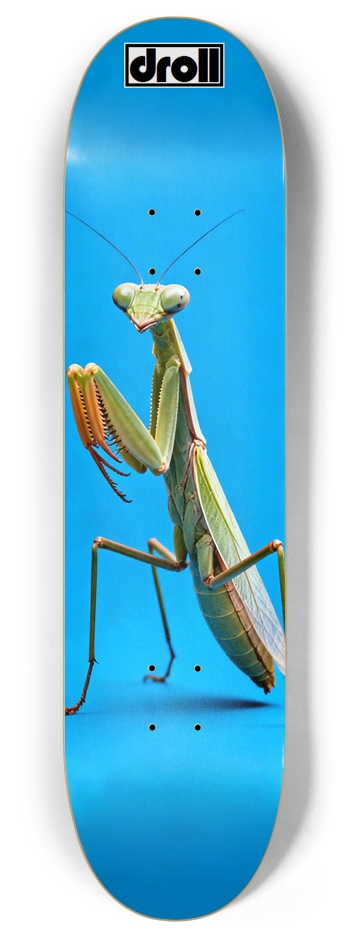 praying mantis on sky blue 8 Inch Skateboard Deck