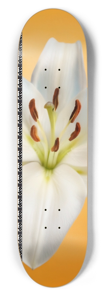 lily on orange droll strip