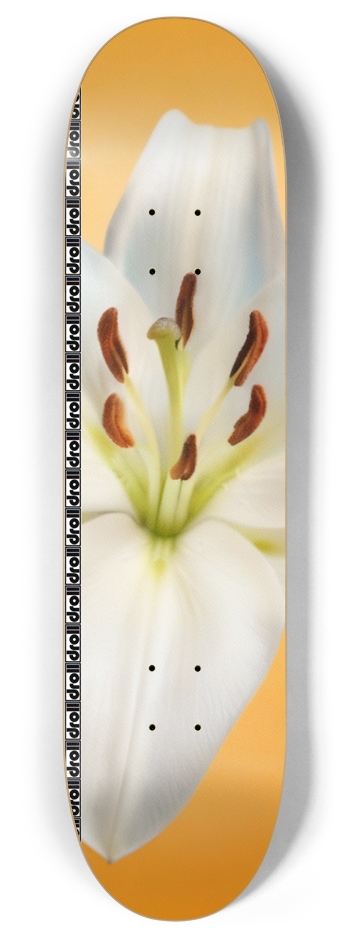 lily on orange droll strip 8 Inch Skateboard Deck