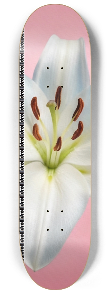 lily on pink droll strip 8-1/4 Skateboard Deck