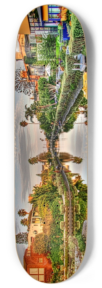Venice Canals 9 Inch Skateboard