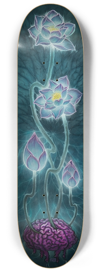 Synapse Synthesis 8-1/4 Skateboard Deck