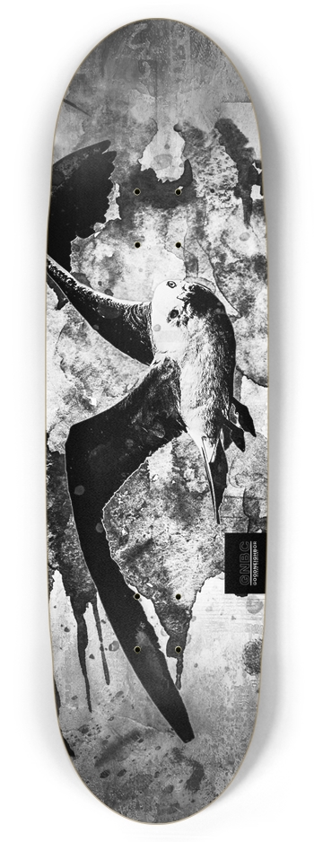 Scavenger 8.87” Football Cruiser