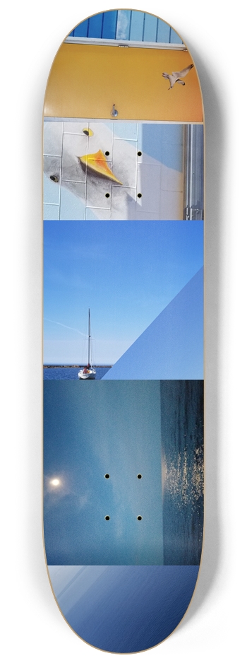 Seagull Collage 8.25" 8-1/4 Skateboard Deck