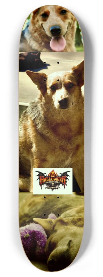 Riley Girl 8 Inch Skateboard Deck