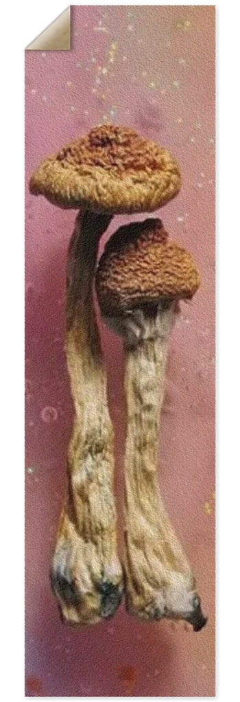 SHROOM A ZOOM ZOOM 10” grip tape 10 x 36 Inch Griptape