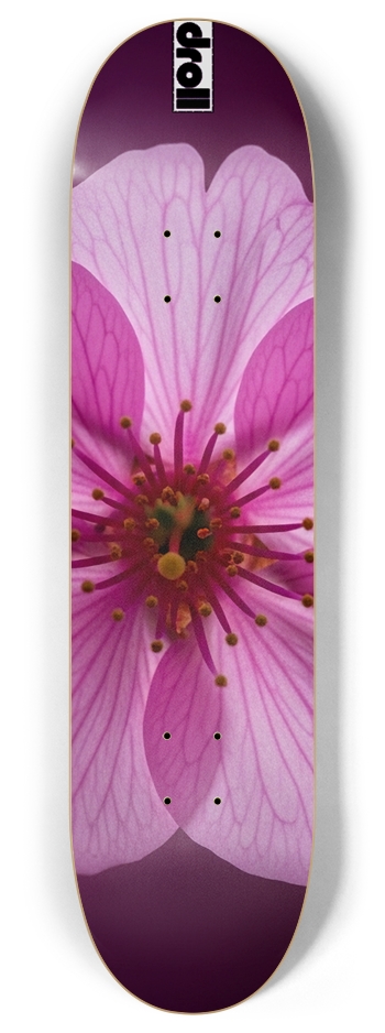 cherry blossom 8 Inch Skateboard Deck