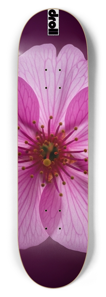 cherry blossom 8-1/2 Skateboard Deck