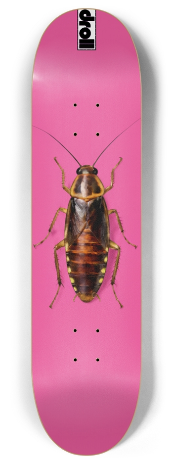roach on hot pink