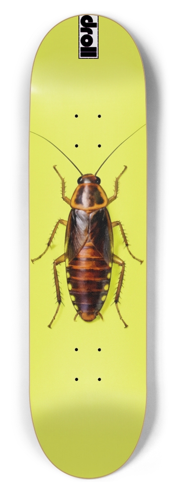 roach on neon yellow