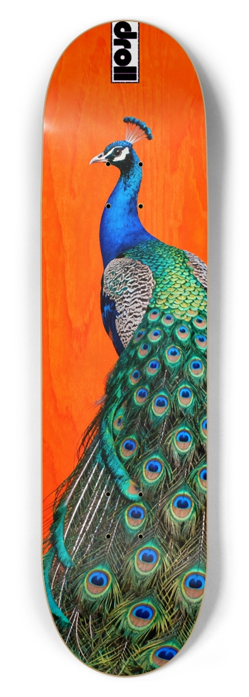 peacock on orange woodgrain