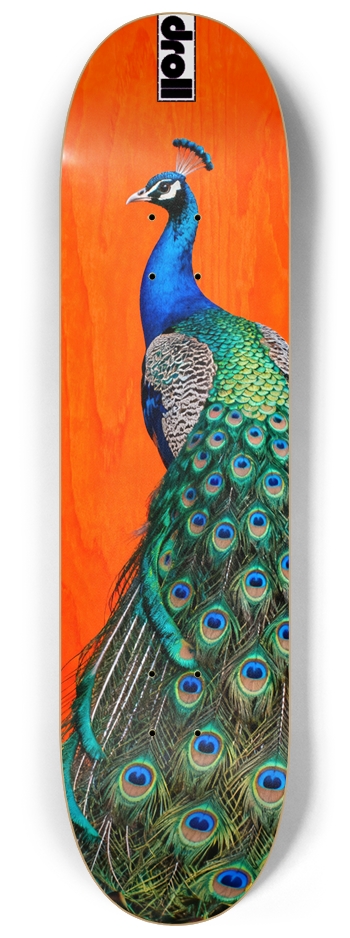 peacock on orange woodgrain