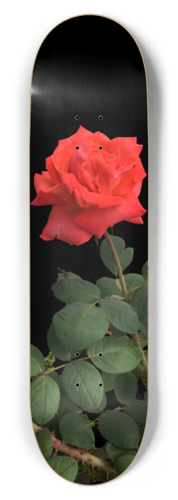 Rose Skateboard 8-1/2 Skateboard Deck