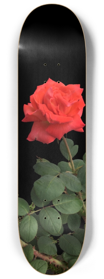 Rose Skateboard 8-1/4 Skateboard Deck