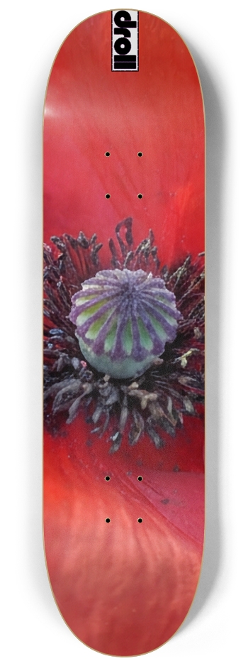 poppy 8-1/4 Skateboard Deck