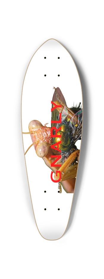 Custom Skateboard