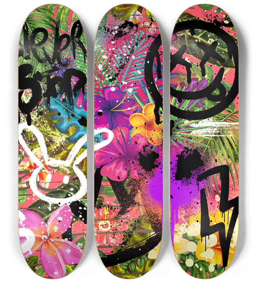 Skateboard Series 3 Deck Wall Series