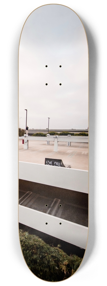 Skateboard Series #3 8-1/4 Skateboard Deck