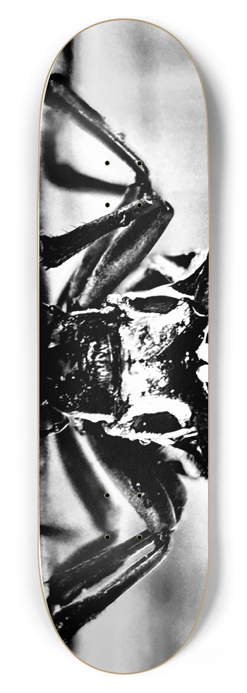 Bugz Life 8-3/4 Inch Skateboard