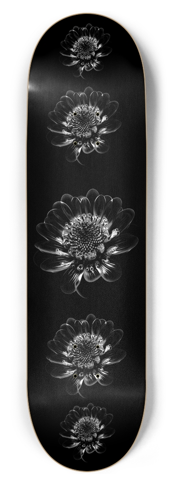 Custom Skateboard