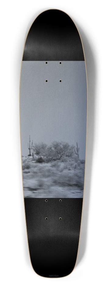 Drive-By Cactus Forest