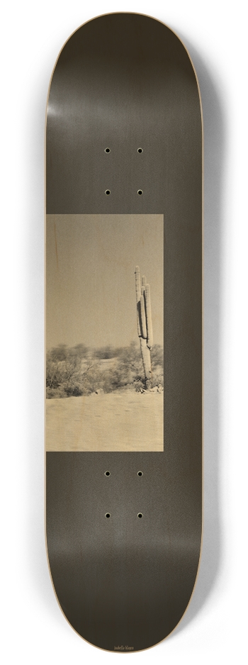 Drive-By Cactus Forest II 8 Inch Skateboard Deck