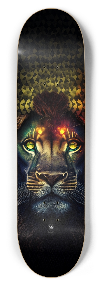 Lion Charity Board