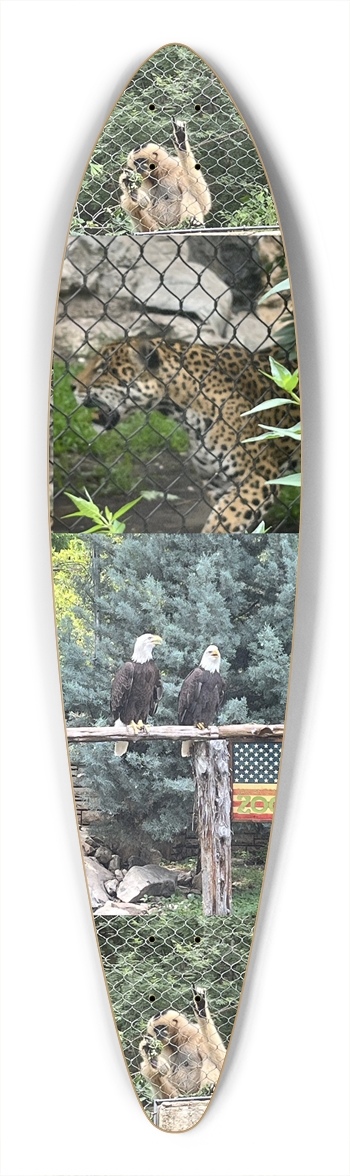 Zoo Life Longboard Pintail Longboard