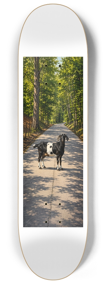 Soddy-Goatsy 8-1/4 Skateboard Deck