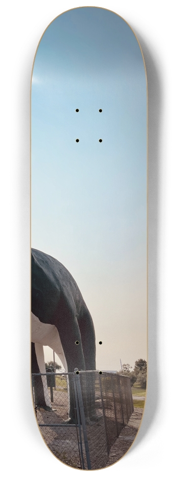 Skateboard Series #3