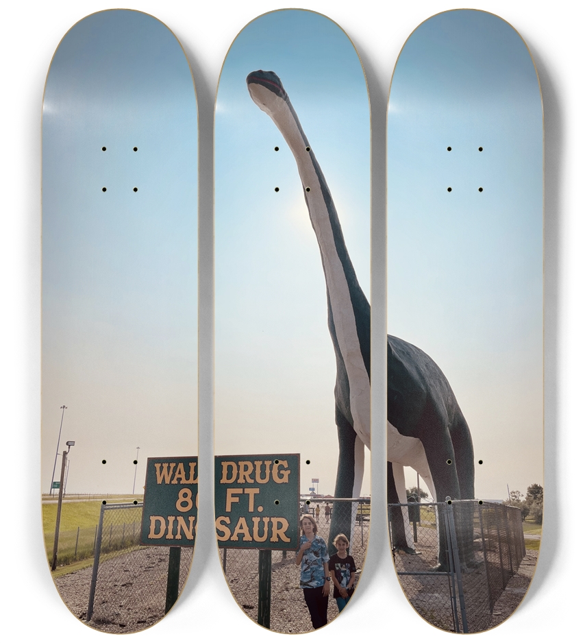Skateboard Series 3 Deck Wall Series
