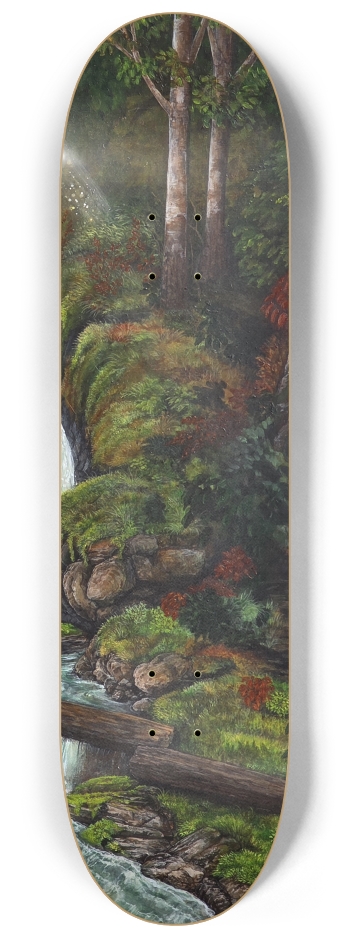 Skateboard Series #3